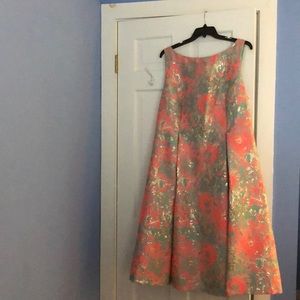 Adrianna Papell party dress! 🎉